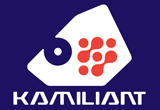 KAMILIANT-LOGO-1.png